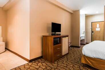 هتل Quality Inn & Suites Chesterfield Village