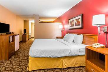 هتل Quality Inn & Suites Chesterfield Village