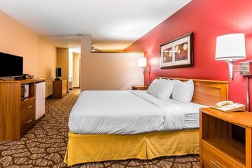هتل Quality Inn & Suites Chesterfield Village