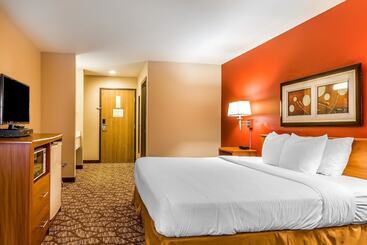 هتل Quality Inn & Suites Chesterfield Village