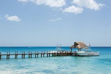 استراحتگاه Secrets Aura Cozumel   Adults Only
