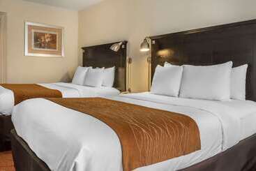 هتل Comfort Inn & Suites Laguardia Airport
