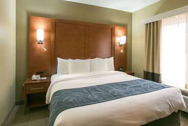 هتل Comfort Suites Austin Nw Lakeline