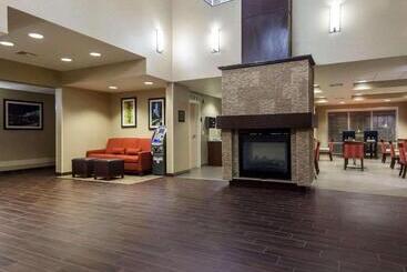 هتل Comfort Suites Central I 44