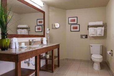 هتل Comfort Suites Central I 44