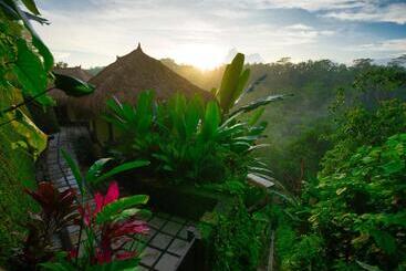酒店 Nandini Jungle By Hanging Gardens