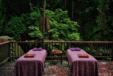 酒店 Nandini Jungle By Hanging Gardens