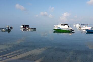 هتل Muli Inn Surf View Maldives