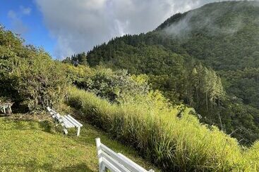 هتل Starlight Chalet