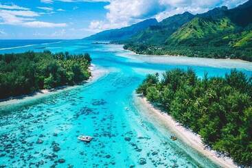 هتل Fare Club   Moorea