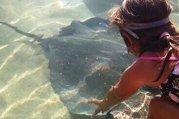 هتل Fare Club   Moorea