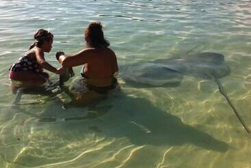 هتل Fare Club   Moorea