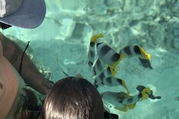 هتل Fare Club   Moorea