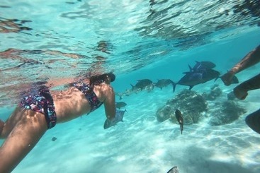 هتل Fare Club   Moorea