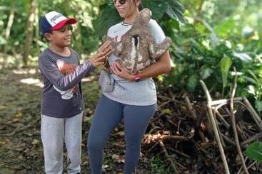 هاستل Milia Amazon Lodge