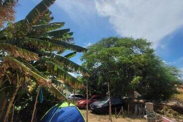 پانسیون Hostel Flor Da Vida