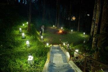 פנסיון Room In Lodge   The Nest Bettathur Coorg Ct No 1