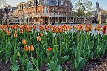 تختخواب و صبحانه La Maison De Sophie
