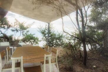 酒店 Appartamenti Riva Degli Etruschi