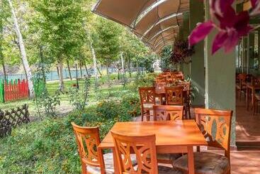 Ivana Palace Hotel   Free Parking