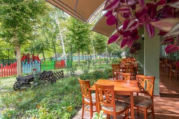 Ivana Palace Hotel   Free Parking