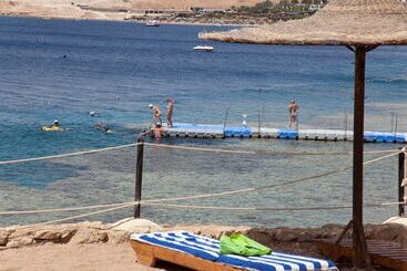 هتل Siva Sharm Resort & Spa   Couples And Families Only