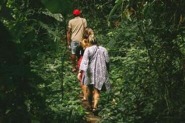هتل Hostel Island Paradise, Saboga Lodge And Villa Noelia