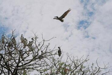 هتل Hostel Island Paradise, Saboga Lodge And Villa Noelia
