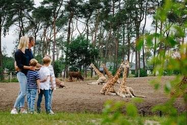 Safari Resort Beekse Bergen