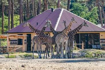 Safari Resort Beekse Bergen
