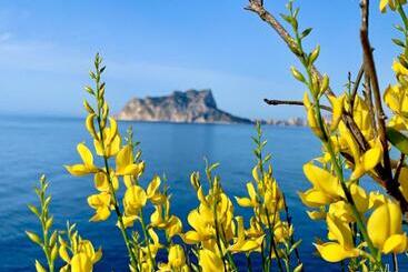 Vh Costablanca   Amor Del Sur - Senija