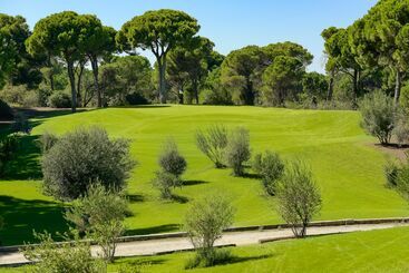 هتل Cornelia Diamond Golf Resort & Spa