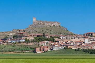 Cardamomo Sigüenza - Carabias