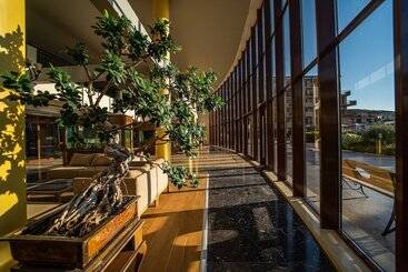 Hvd Club Hotel Miramar   Ultra All Inclusive