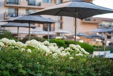 Hvd Club Hotel Miramar   Ultra All Inclusive