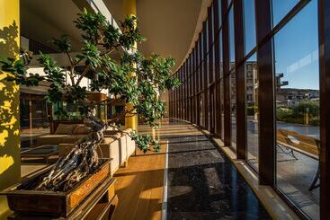 Hvd Club Hotel Miramar   Ultra All Inclusive