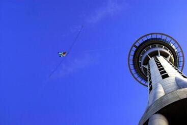 هاستل Base Auckland