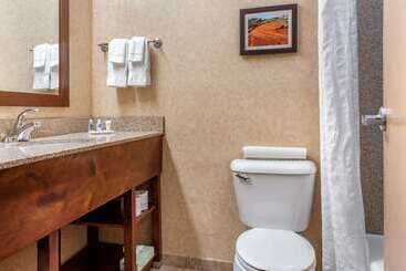 هتل Comfort Inn At Convention Center