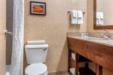 هتل Comfort Inn At Convention Center