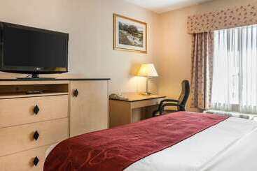 هتل Comfort Inn & Suites Airport Convention Center