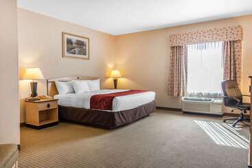 هتل Comfort Inn & Suites Airport Convention Center