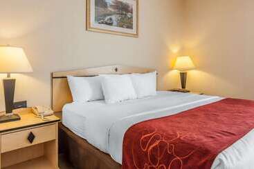 هتل Comfort Inn & Suites Airport Convention Center