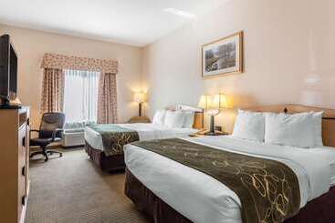 هتل Comfort Inn & Suites Airport Convention Center