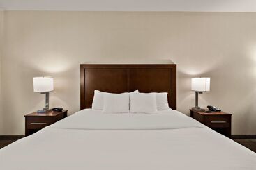 هتل Comfort Inn & Suites Airport Convention Center