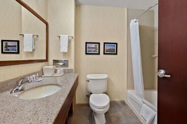 هتل Comfort Inn & Suites Airport Convention Center