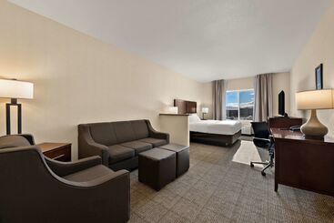 هتل Comfort Inn & Suites Airport Convention Center