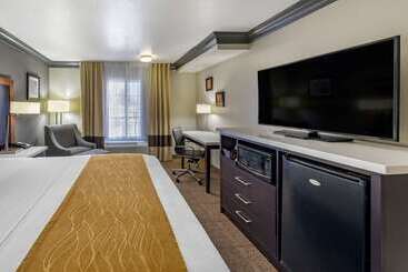 هتل Comfort Inn & Suites Near Universal N. Hollywood Burbank