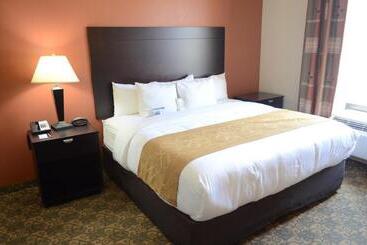 هتل Comfort Suites Westchase Houston Energy Corridor