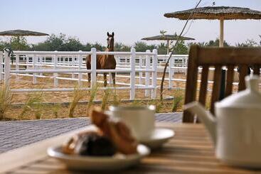 酒店 Anantara Desert Islands Resort & Spa