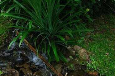هتل Fern Resort Mae Hong Son